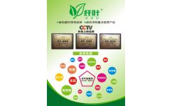 纖葉硅藻泥服務商 武漢創(chuàng)唯美環(huán)保科技